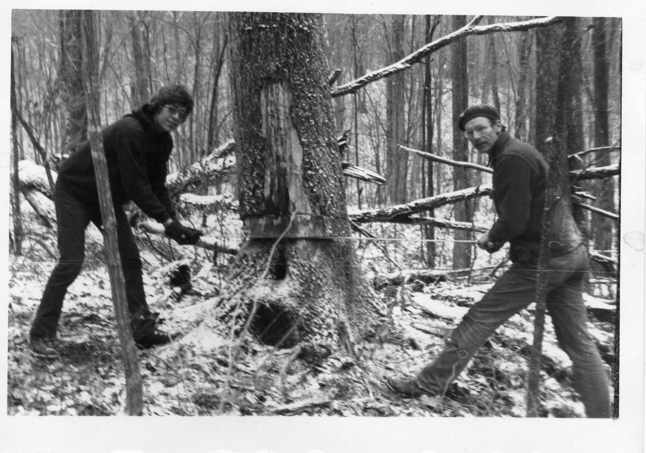 811 Cabin Shingle  Tree Barth & Milton 